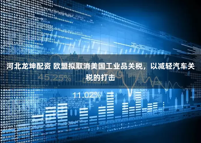 河北龙坤配资 欧盟拟取消美国工业品关税，以减轻汽车关税的打击